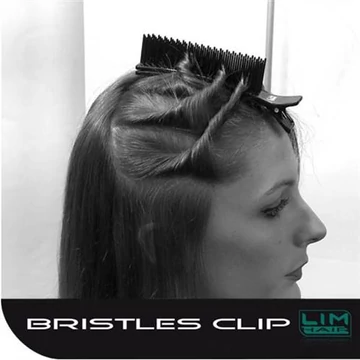 Bristles gyors hajcsipesz 5-10 hajtincs rögzítésére 1db