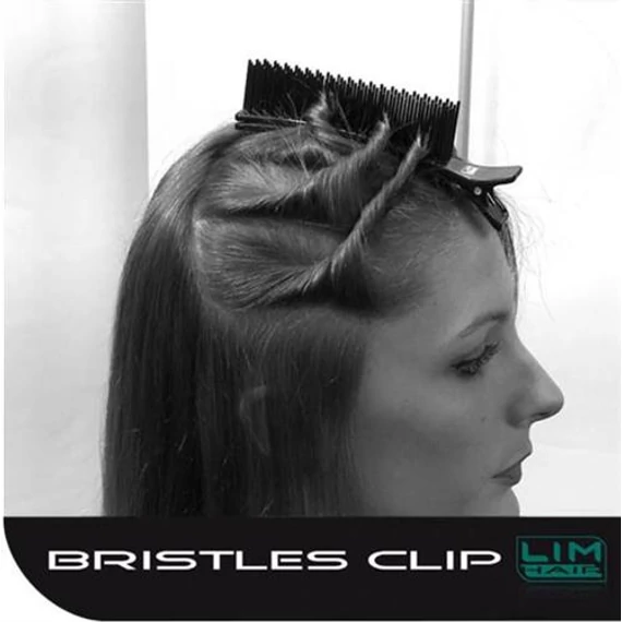 Bristles gyors hajcsipesz 5-10 hajtincs rögzítésére 1db